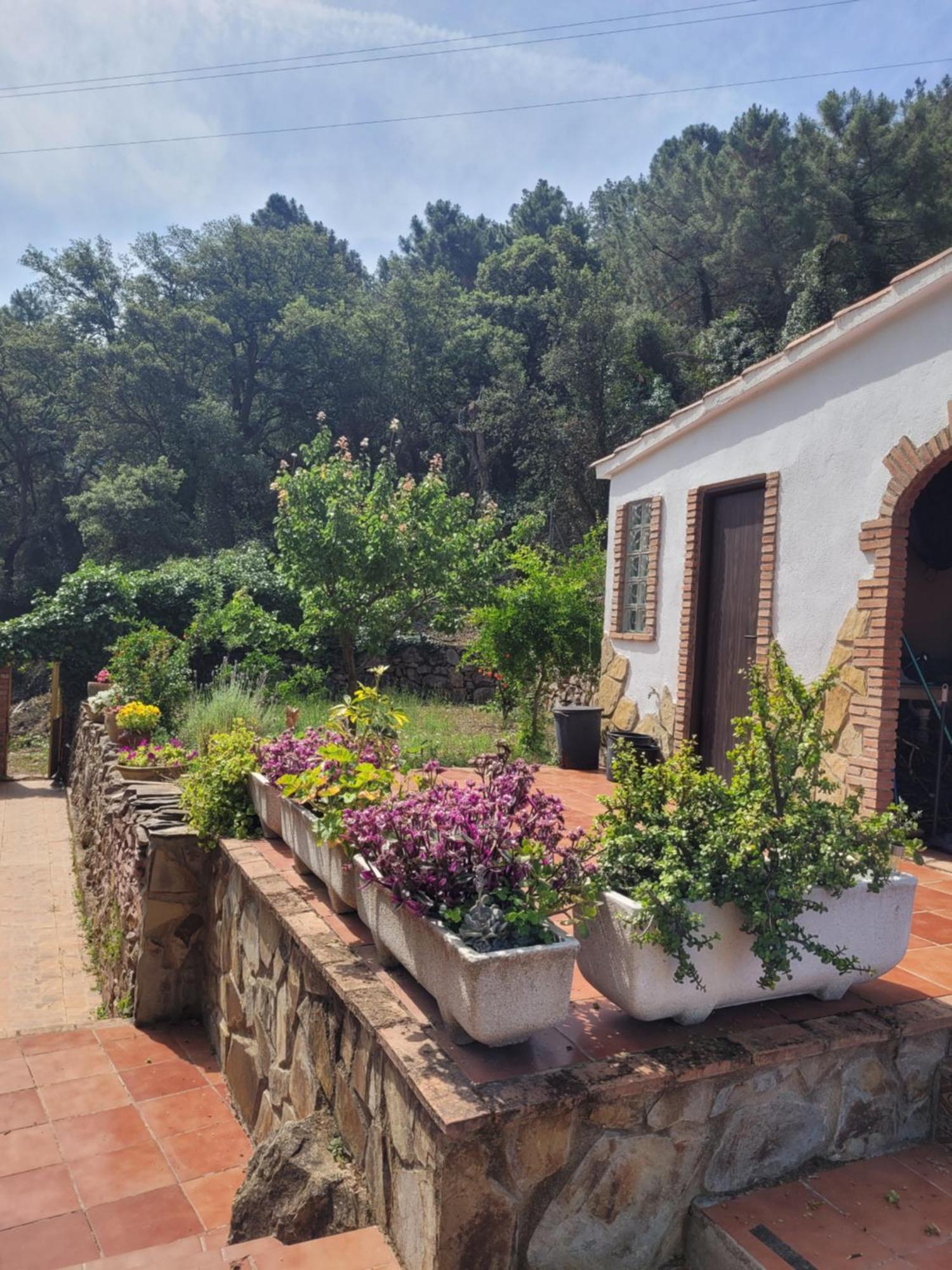 Trocito De Paraiso En La Sierra Espadan