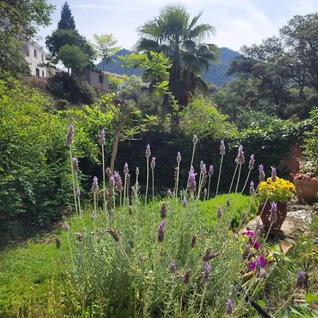 Trocito De Paraiso En La Sierra Espadan Eslida Exterior foto
