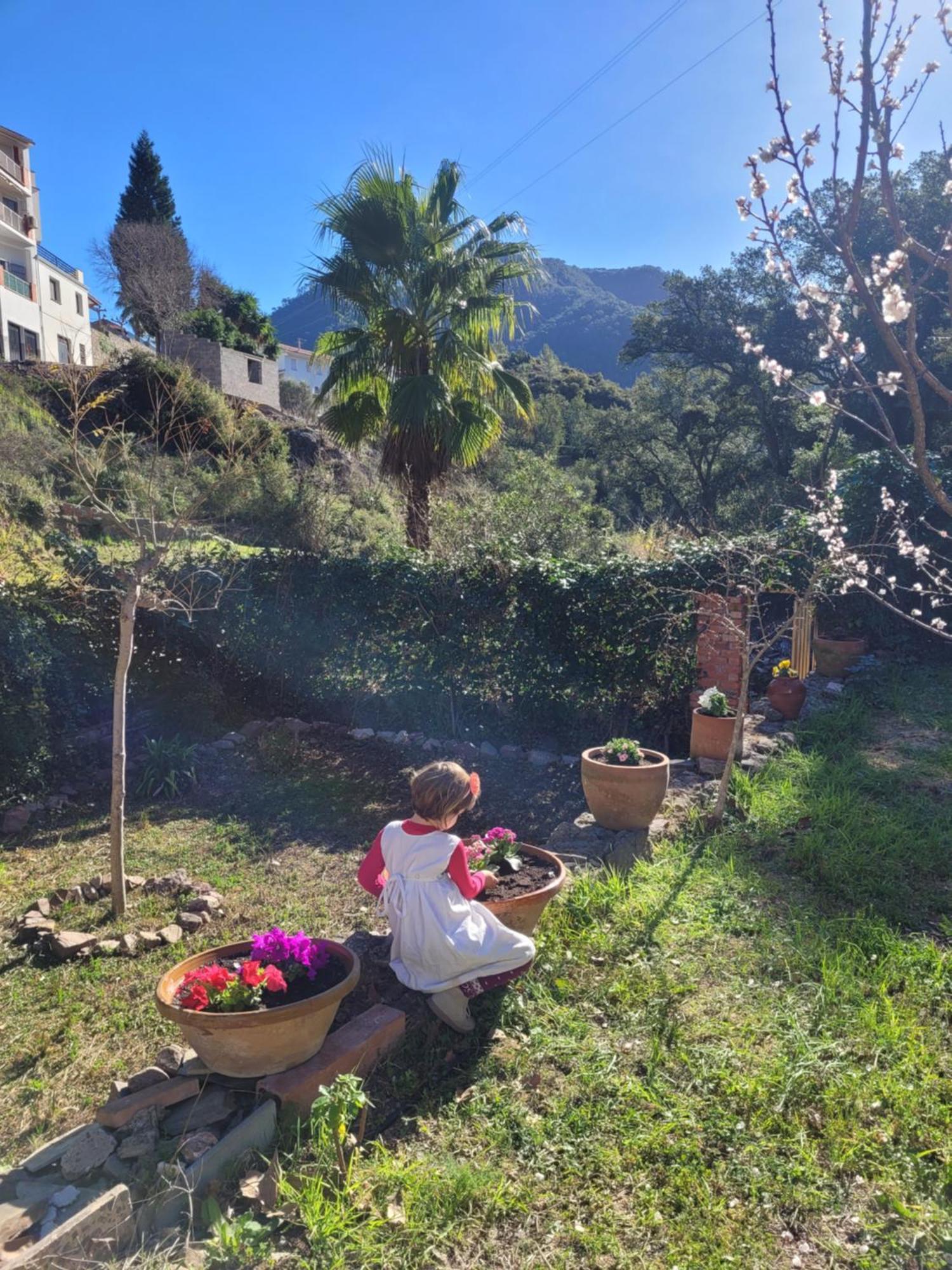 Trocito De Paraiso En La Sierra Espadan *