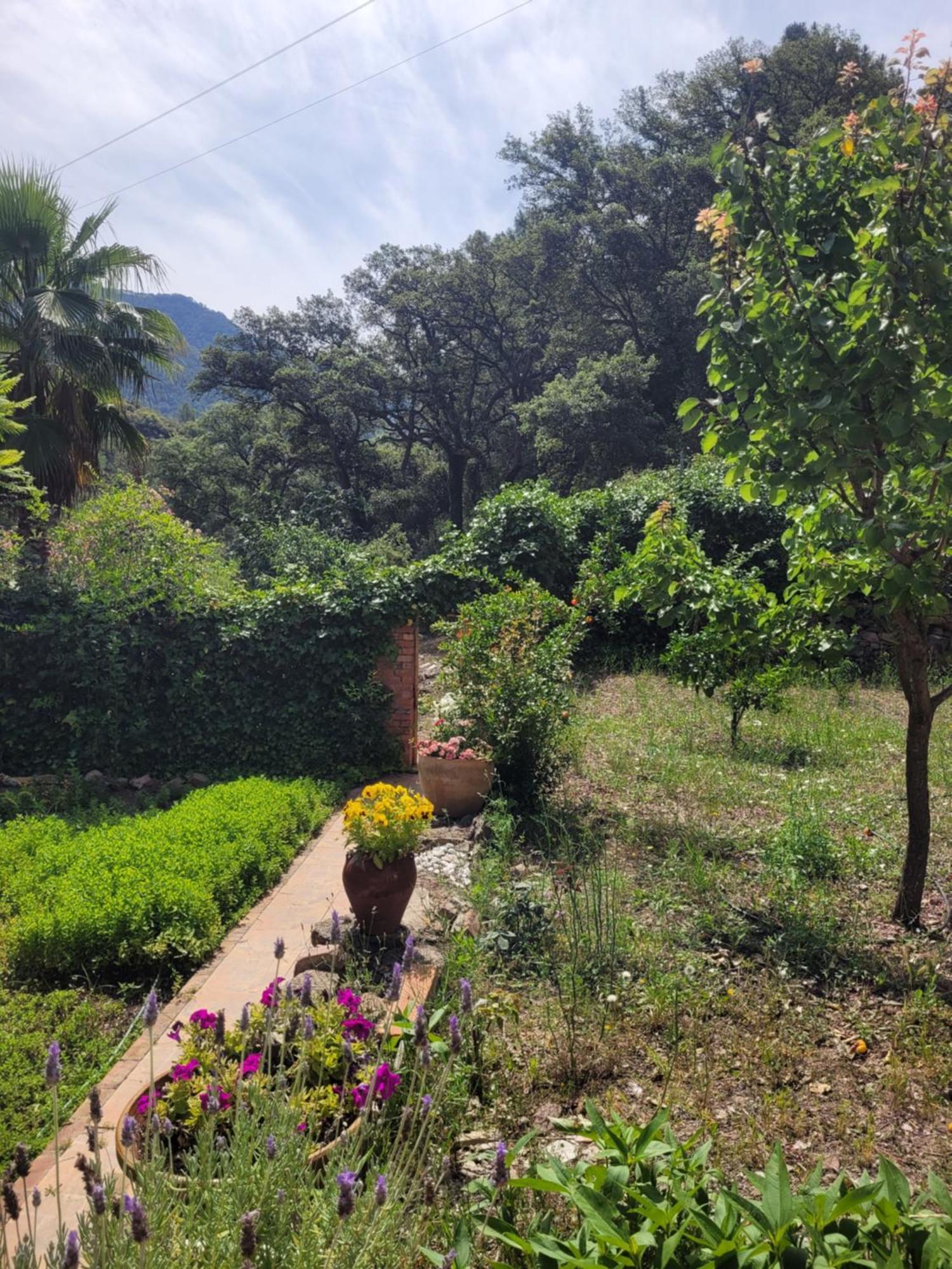 Trocito De Paraiso En La Sierra Espadan