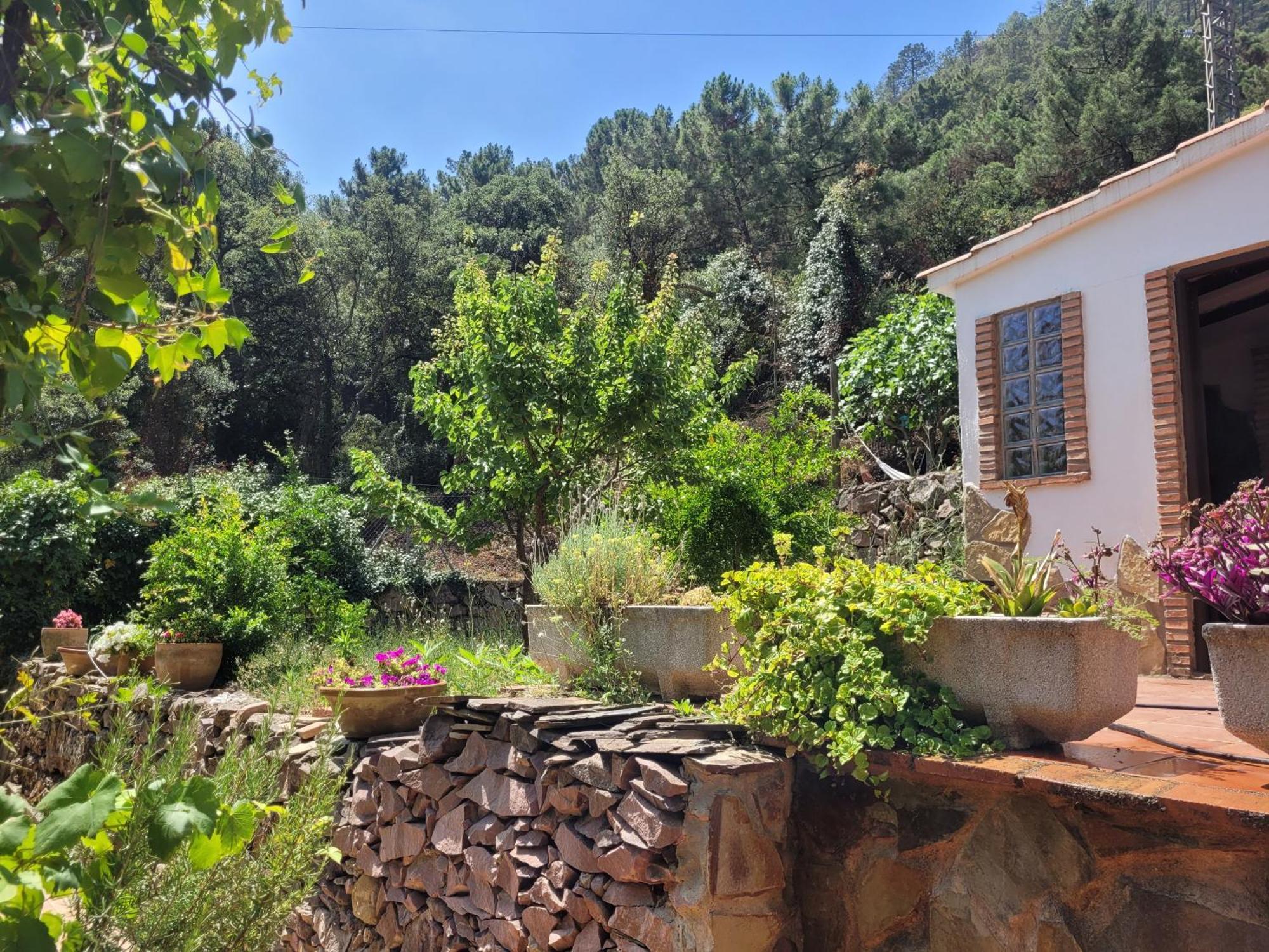 Trocito De Paraiso En La Sierra Espadan * Eslida