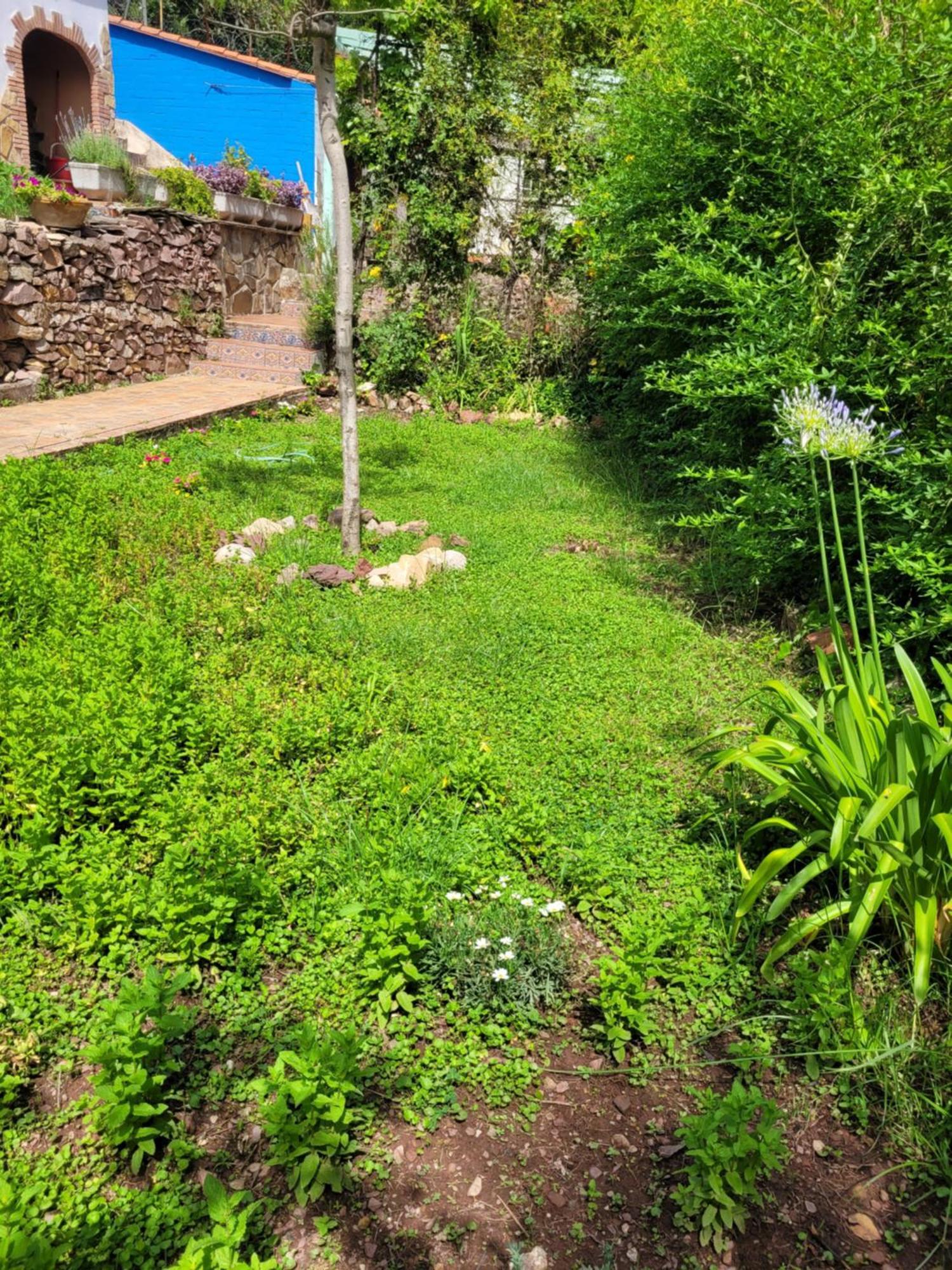 Trocito De Paraiso En La Sierra Espadan Chalet Eslida