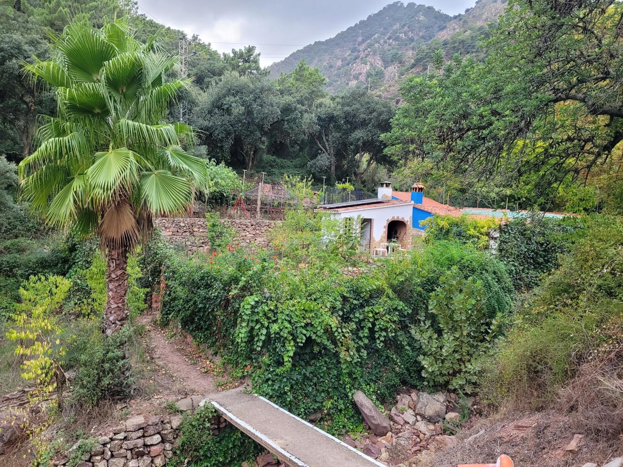 Trocito De Paraiso En La Sierra Espadan * Eslida